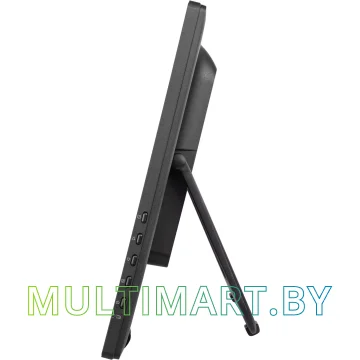 Монитор Iiyama ProLite T2455MSC-B1 картинка 9